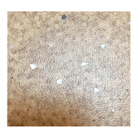 HETEROJEN COMPACT PVC 2509 FORBO COMPACT 2 5,70